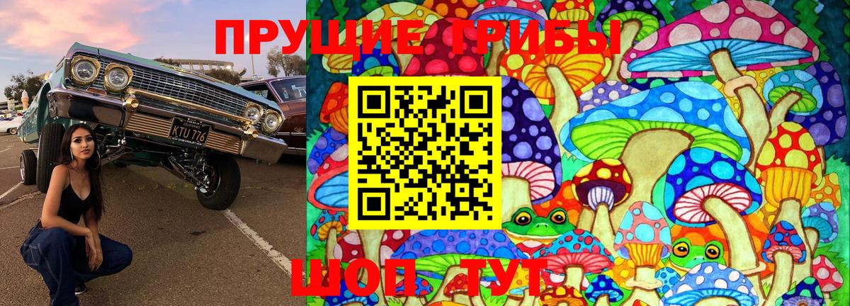 Галлюциногенные грибы Cubensis  Вход с VPN  Галлюциногенные грибы прущие грибы  где купить   Иваново 